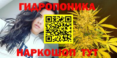 индика Азнакаево
