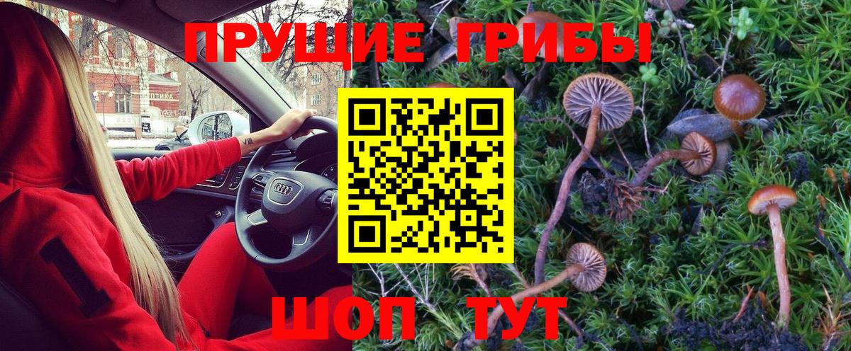 Амурск  Псилоцибиновые грибы MAGIC MUSHROOMS  Вход с VPN  Псилоцибиновые грибы Psilocybe 